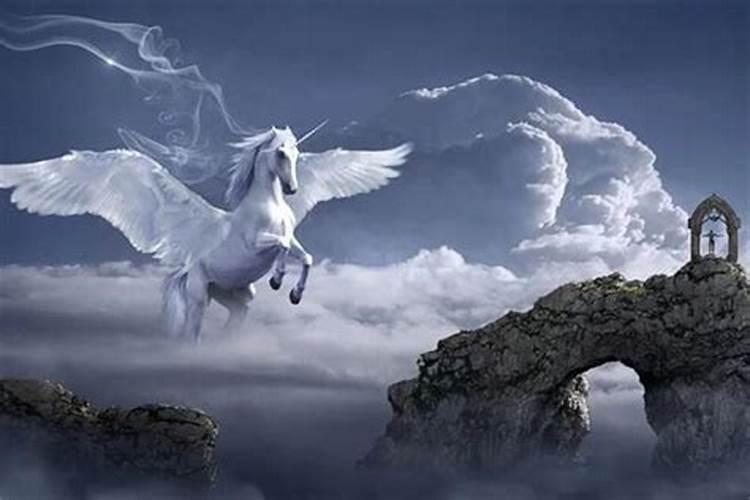 梦见马在天上飞什么意思周公解梦