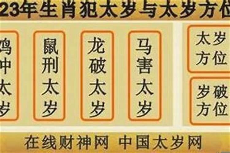 花姐命烧替身还会列仙班吗