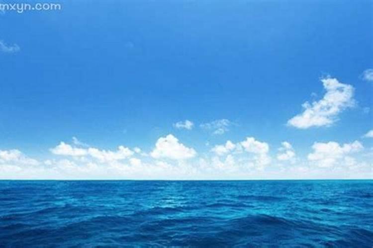 梦见大海蓝色的水和鱼
