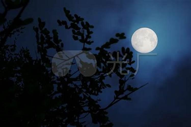 八月十五晚上几点看到月亮