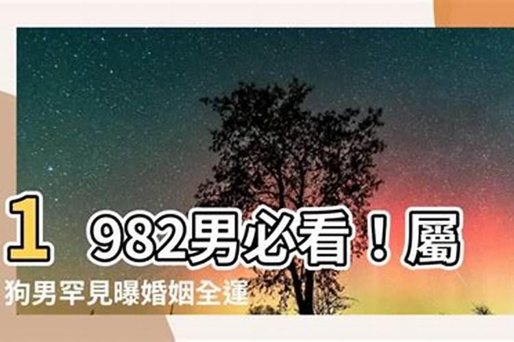 属马生什么宝宝八字合婚