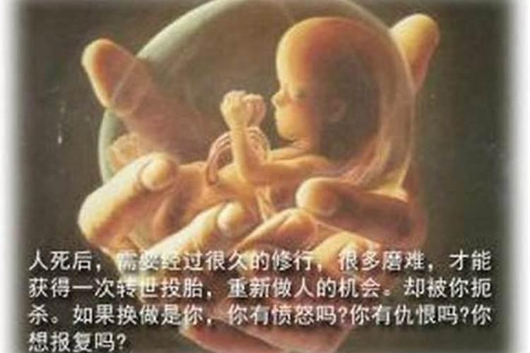堕胎如何去寺庙做超度