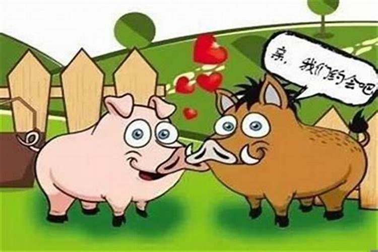 生辰八字预测婚姻牛和猪配