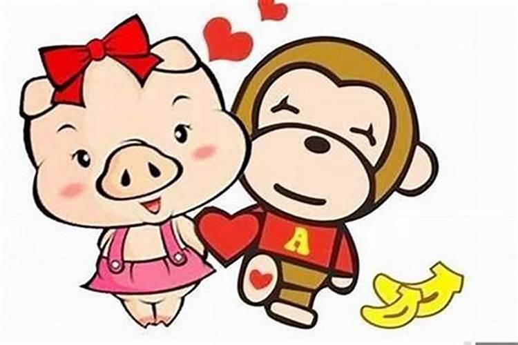 猪和猴属相婚配吗