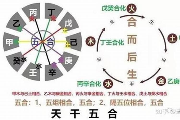 八字有戊癸合的人有财运吗