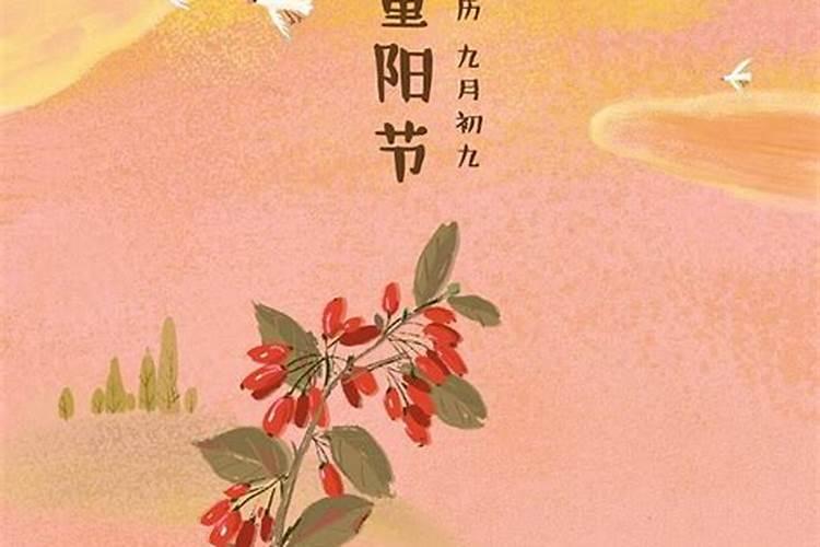 重阳节有哪三个风俗登高敬老赏菊