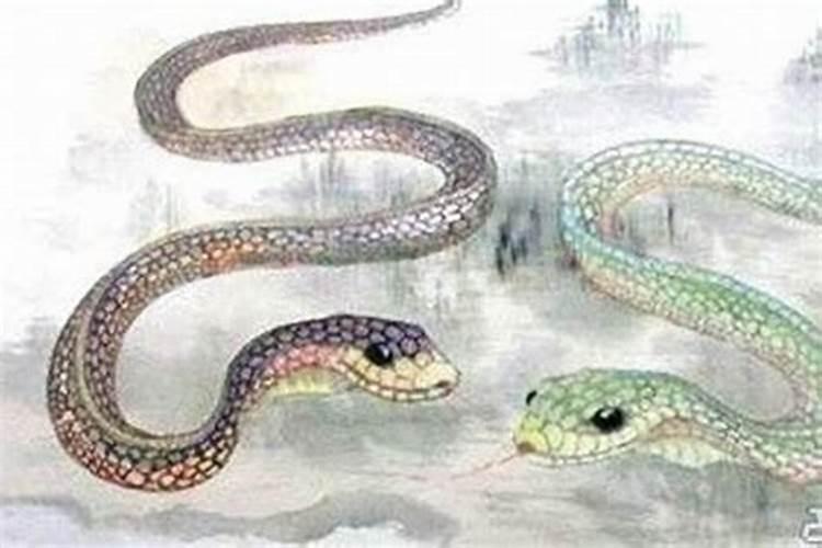 冬至丑时出生的蛇