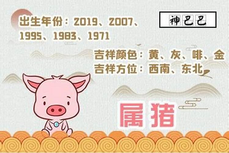 1971年出生属猪运程