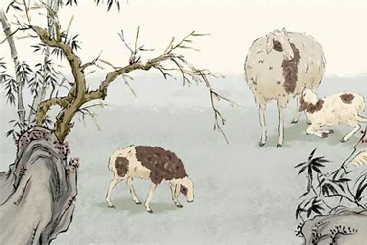 鼠年对属羊的人有什么影响吗