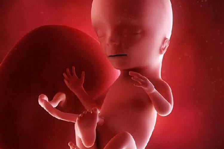 梦到自己怀孕了胎儿动是什么预兆