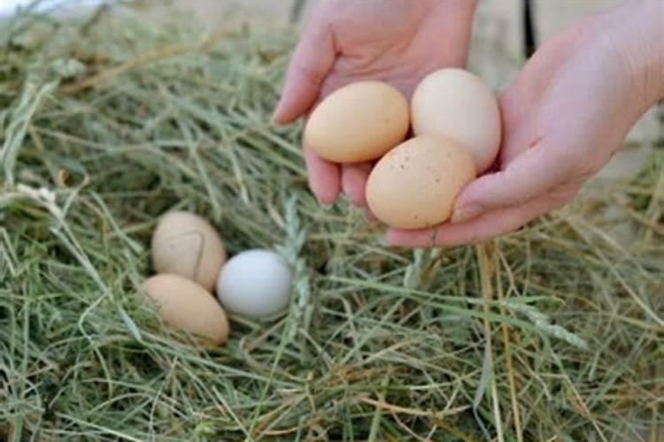 孕妇梦见捡鸡蛋是什么意思