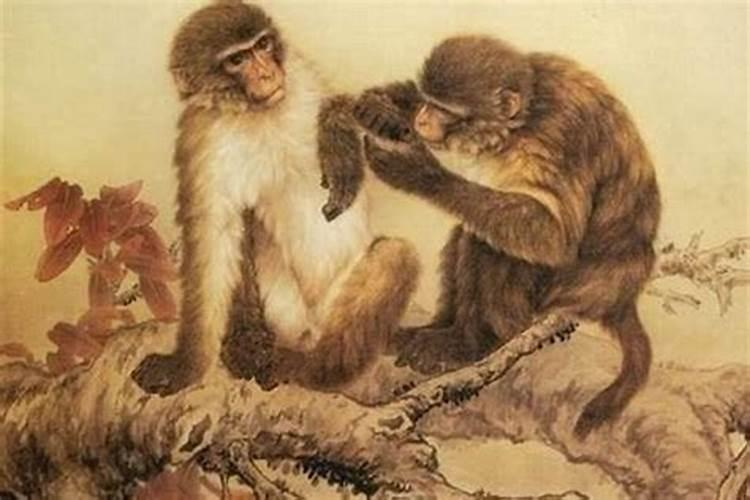 1980年属猴人一生运势运程