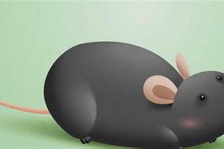 梦见很多老鼠是什么征兆周公