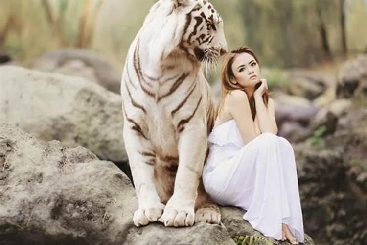 梦见老虎是什么预兆女人怀孕