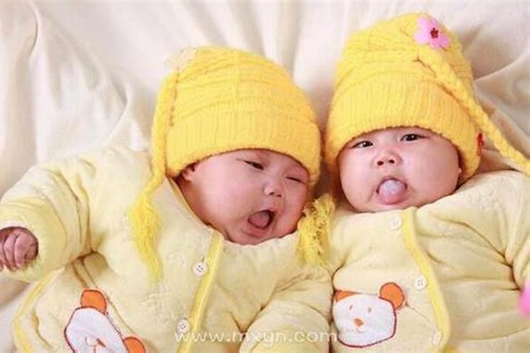 梦见儿媳妇怀孕双胞胎