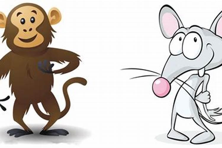 梦见老鼠和猴子是什么意思