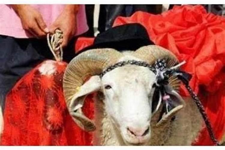 羊和鸡的属相能婚配吗
