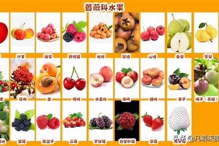 农历腊月的水果有哪些