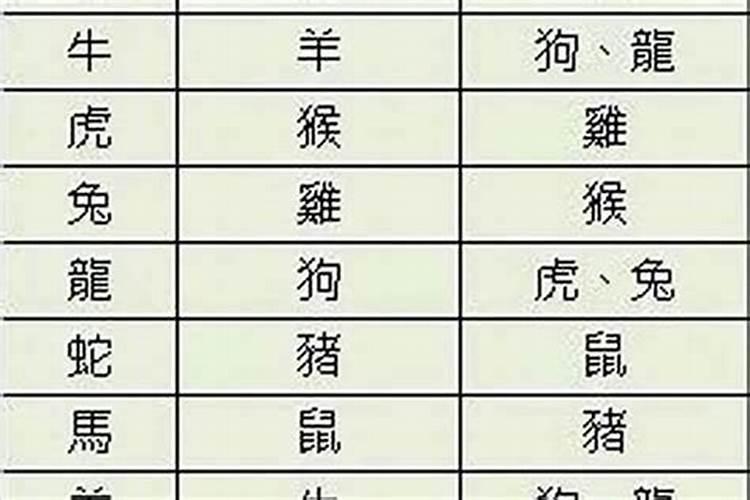 九星合婚什么意思啊