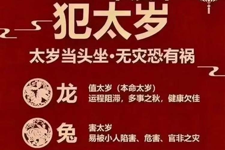 2023年属猪人的全年运势女性