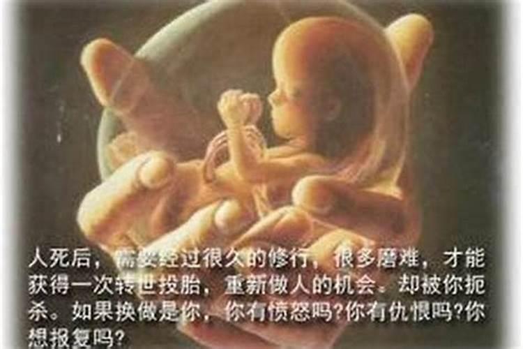 堕胎真有婴灵