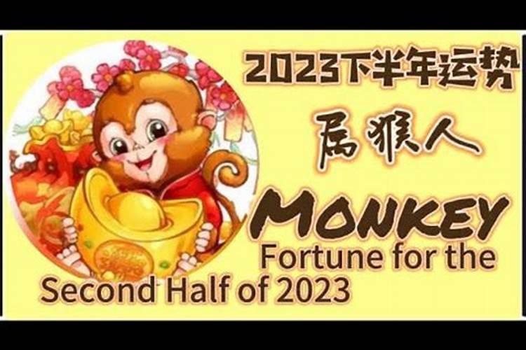 属猴人2023年运势12月