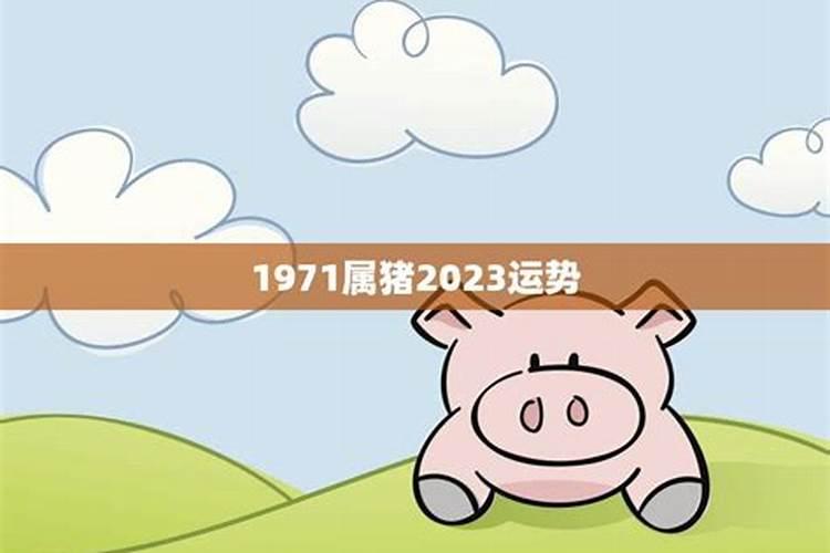 属猪1971年出生2023年运程