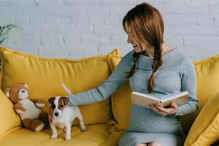 梦见狗是什么预兆自己怀孕