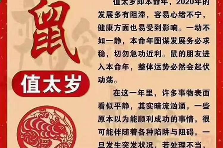 陈字属于五行属什么