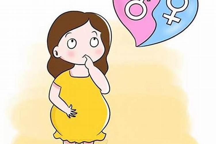 哪些孕相能判断怀的是男宝or女宝